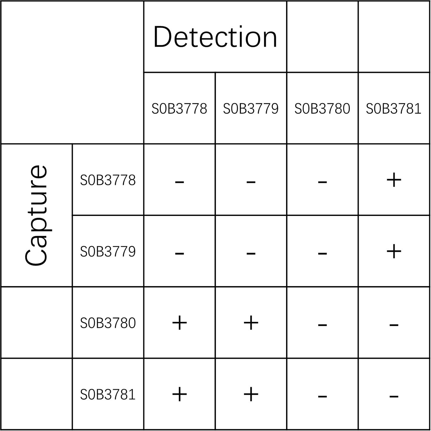 CHI3L1 Recombinant Rabbit mAb (SDT-3633-12)