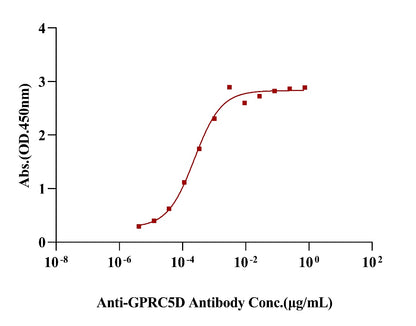 GPRC5D Flag&His Tag Protein, Human(Detergent)