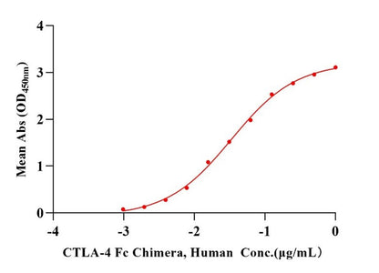 CTLA-4 Fc Chimera Protein, Human