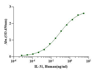 IL-31 Protein, Human