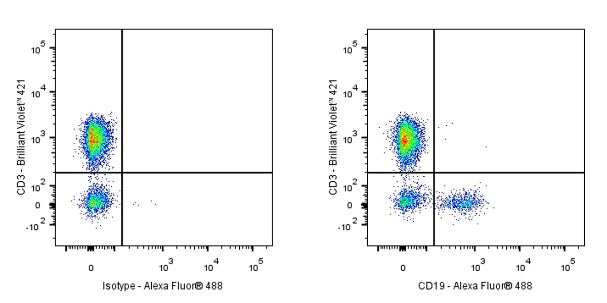 Alexa Fluor® 488 Mouse Anti-Human CD19 Antibody (S-R503-2)