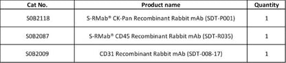 CK-Pan, CD45, CD31 Antibody Panel