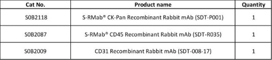 CK-Pan, CD45, CD31 Antibody Panel