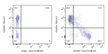 Mouse Anti-Human CD45RO Antibody (UCHL1)