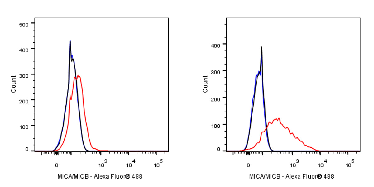 Mouse Anti-Human MICA/MICB Antibody (6D4)