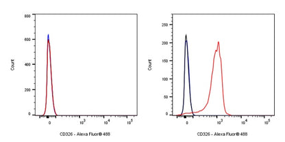 EpCAM/CD326 Recombinant Rabbit mAb (S-1009-76)