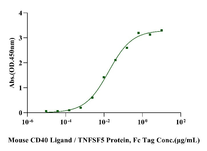 CD40 His Tag Protein, Mouse