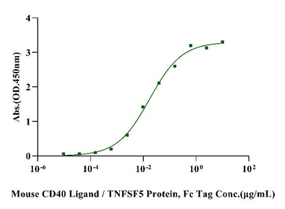 CD40 His Tag Protein, Mouse