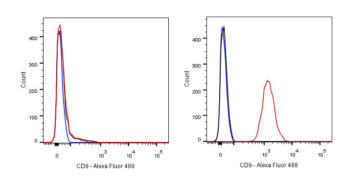 CD9 Recombinant Rabbit mAb,PBS Only (SDT-143-53)