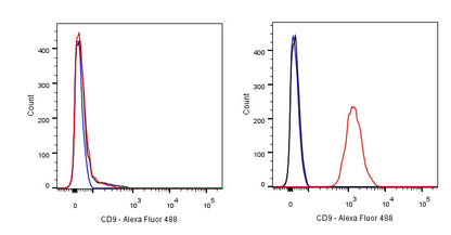 CD9 Recombinant Rabbit mAb,PBS Only (SDT-143-53)