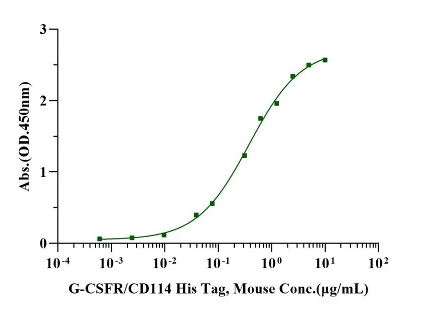 G-CSF Protein, Human