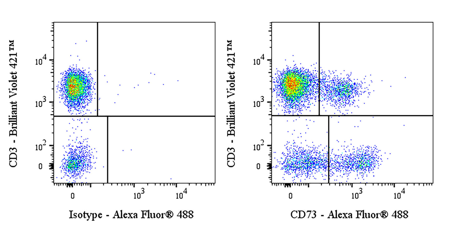 Mouse Anti-Human CD73 Antibody (AD2)
