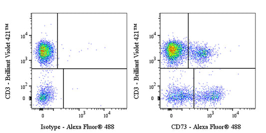 Mouse Anti-Human CD73 Antibody (AD2)
