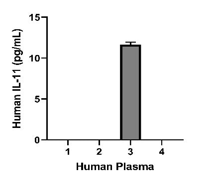 Human IL-11 HS ELISA Kit