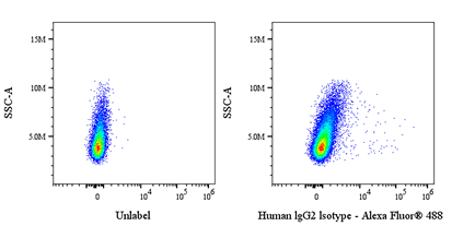 Invivo Human IgG2 Isotype Control