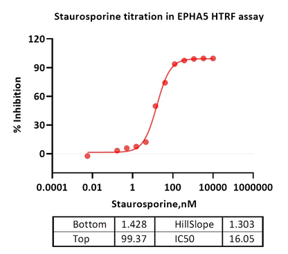 EPHA5 Protein
