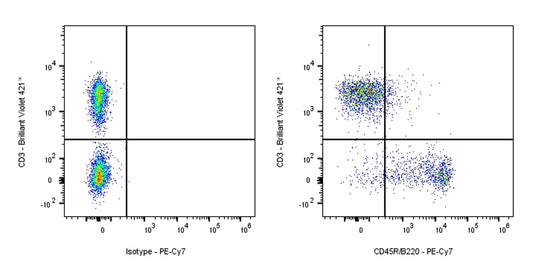 PE-Cy7 Rat Anti-Mouse CD45R/B220 Antibody (RA3-6B2)