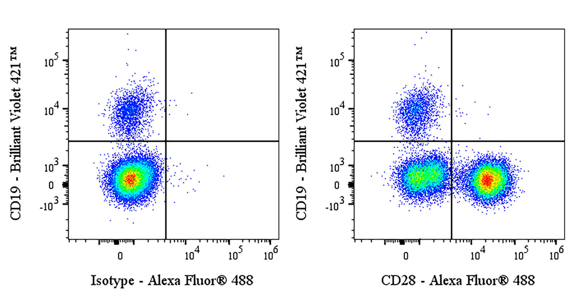 Alexa Fluor® 488 Mouse Anti-Human CD28 Antibody (S-R495-2)