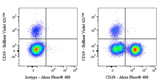 Alexa Fluor® 488 Mouse Anti-Human CD28 Antibody (S-R495-2)