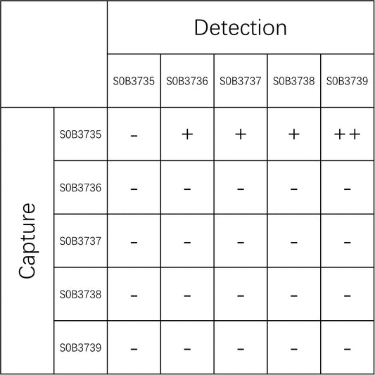 VEGF165 Recombinant Rabbit mAb (SDT-3855-114-2)