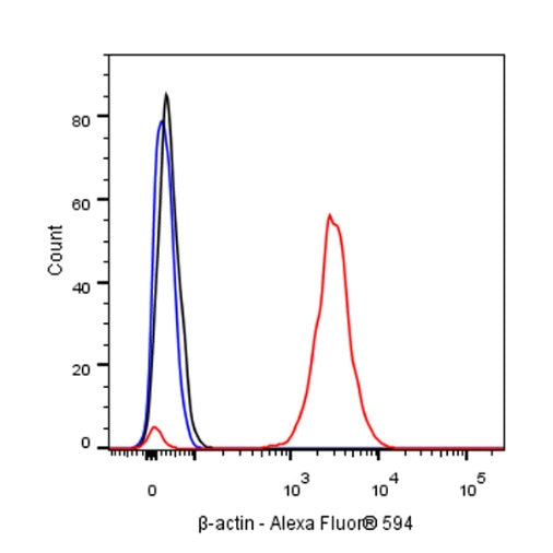 β-actin Recombinant Rabbit mAb (Alexa Fluor® 594 Conjugate) (S-R156)