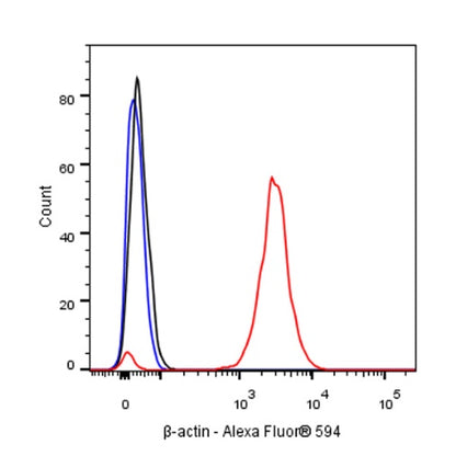 β-actin Recombinant Rabbit mAb (Alexa Fluor® 594 Conjugate) (S-R156)