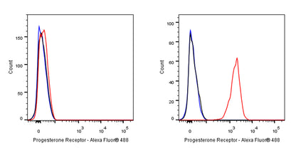 Progesterone Receptor Recombinant Rabbit mAb (SDT-R123)