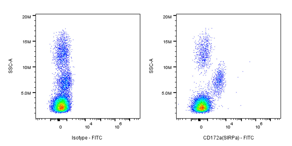 FITC Mouse Anti-Human CD172a (SIRPα) Antibody (15-414)
