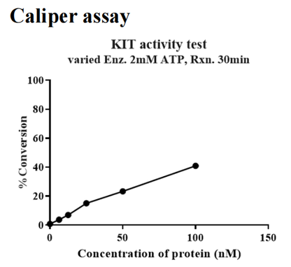 KIT Strep Tag Protein, Human