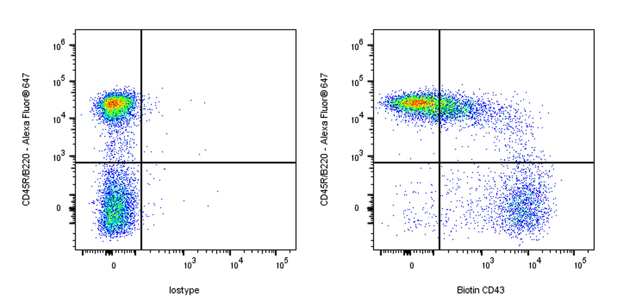 Biotin Rat Anti-Mouse CD43 Antibody (S-R588)