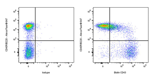 Biotin Rat Anti-Mouse CD43 Antibody (S-R588)