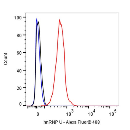 hnRNP U Recombinant Rabbit mAb (S-2375-23)