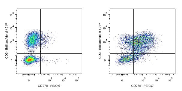 PE-Cy7 Armenian hamster Anti- Human/Mouse/Rat CD278 Antibody (S-R578)