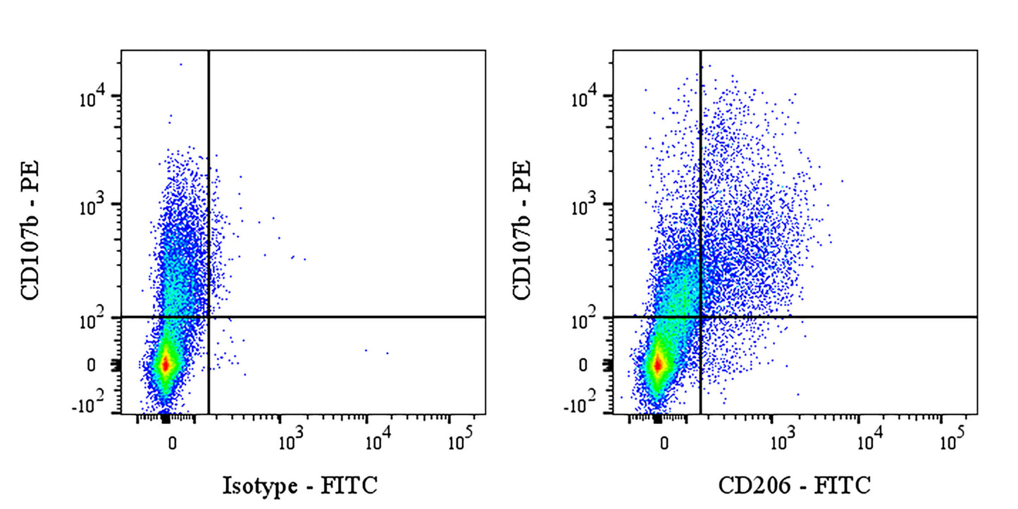 FITC Rat Anti-Mouse CD206 Antibody(S-4793)
