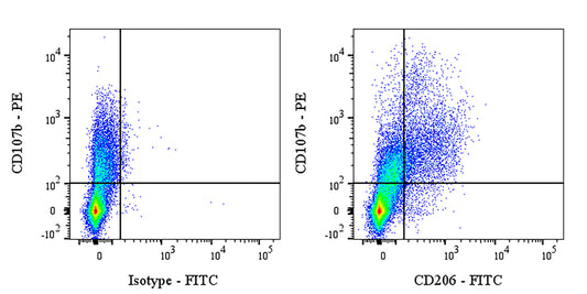 FITC Rat Anti-Mouse CD206 Antibody(S-4793)