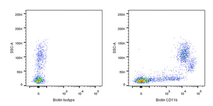 Biotin Rat Anti-Mouse/Human CD11b Antibody (M1/70)