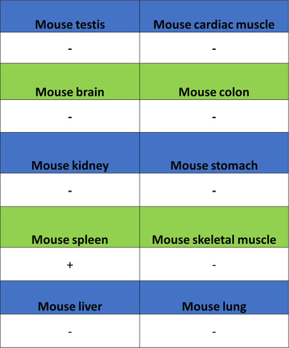 PD-L1 Recombinant Rabbit mAb (S-3933-78)