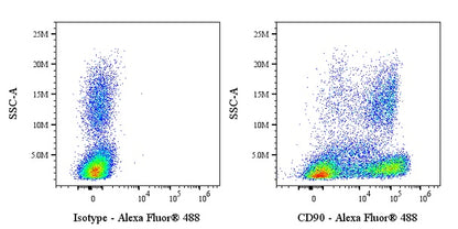 Alexa Fluor® 488 Mouse Anti-Human/ Monkey CD90 Antibody (5E10)