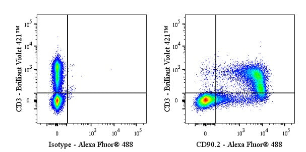 Alexa Fluor® 488 Rat Anti-Mouse CD90.2 (Thy-1.2) Antibody (53-2.1)