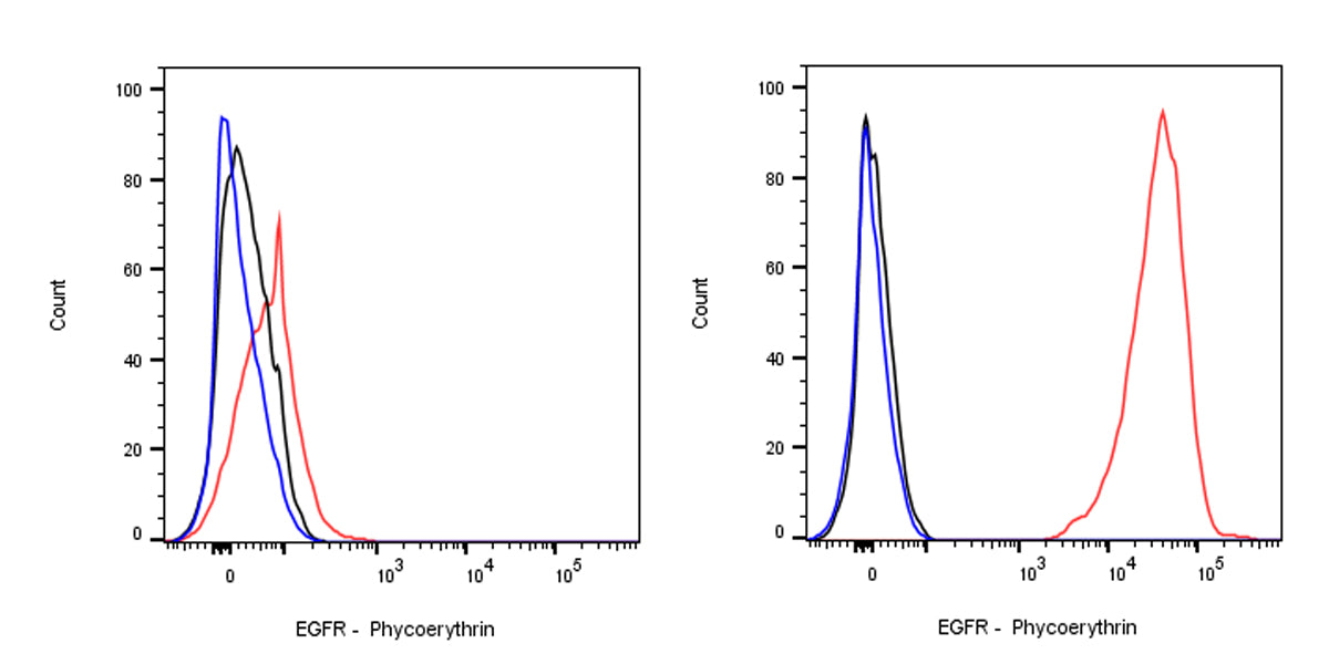 PE Mouse Anti-Human EGFR Antibody (S-2798)