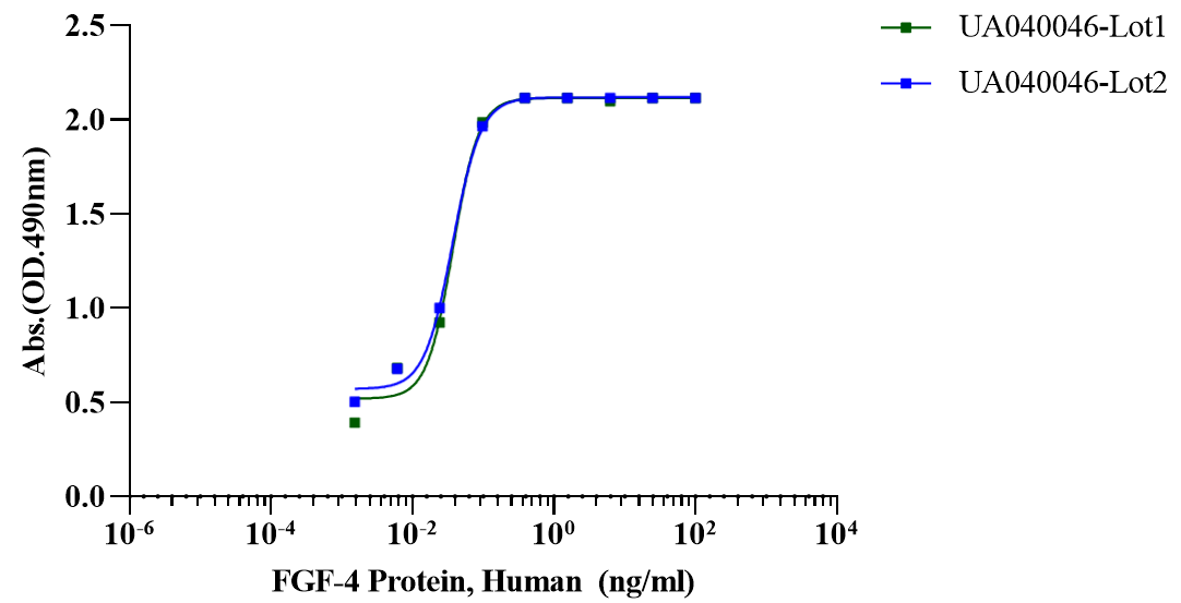 FGF-4 Protein, Human