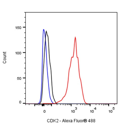 CDK2 Recombinant Rabbit mAb (S-1308-13)
