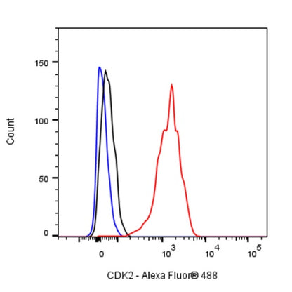CDK2 Recombinant Rabbit mAb (S-1308-13)