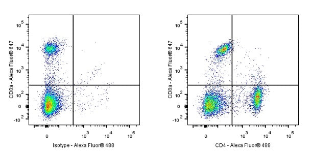 Rat anti-mouse CD4 antibody (RM4-4)