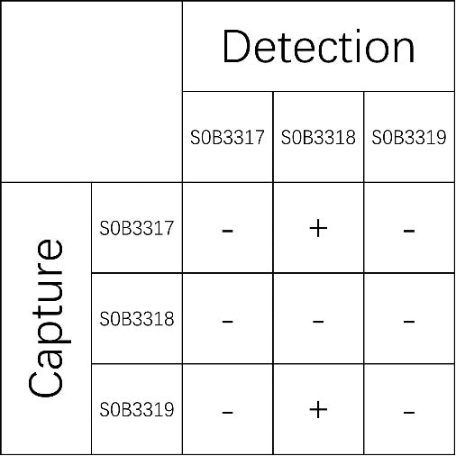 TNF alpha Recombinant Rabbit mAb (SDT-127-24)