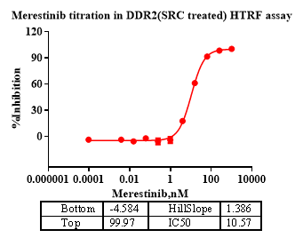 DDR2 Protein