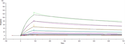 Spike RBD His Tag Protein, SARS-CoV-2(BA.2/Omicron)