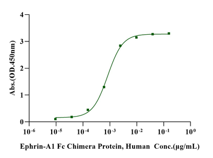 EphA2 His Tag Protein, Human