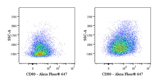 Invivo anti-Mouse CD80 (B7-1) Recombinant mAb