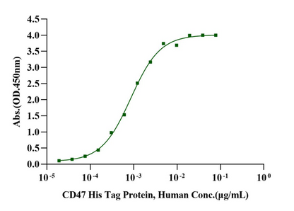 SIRP-α Fc Chimera Protein, Human